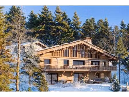 douglas elliman france chamonix