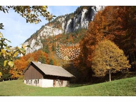 planifique immobilier