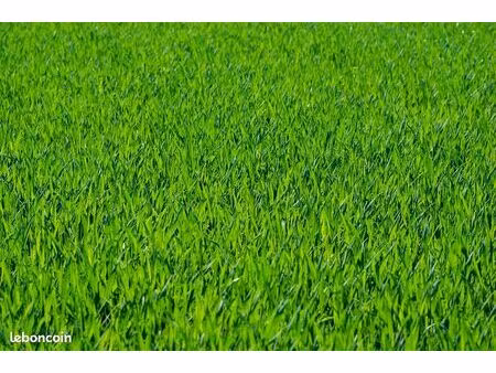 terrain 3575 m² bargemon
