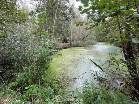terrain 6 319 m² chaillevois