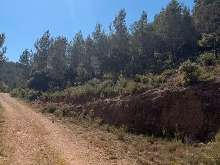 terrain zone naturelle - 7 hectares - saint zacharie