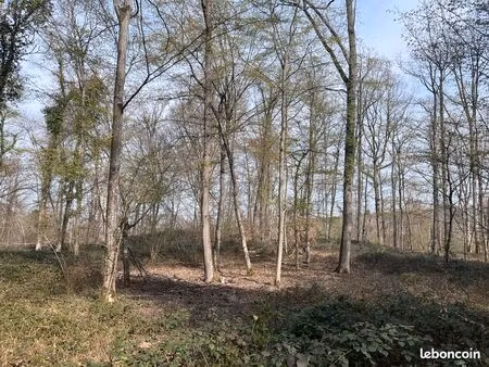 forêt proche de soissons dans l'aisne
