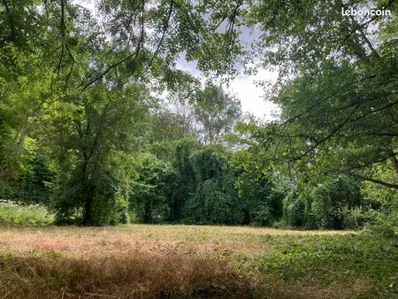 terrain au bord de l’yonne