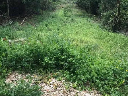 terrain de loisir