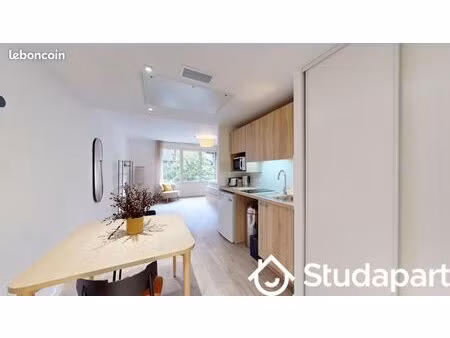 chambre 1 pièce 33 m²