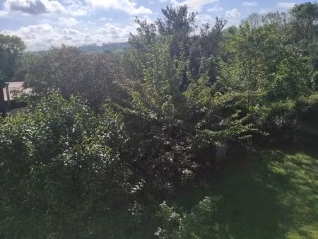 jolie maison chaleureuse