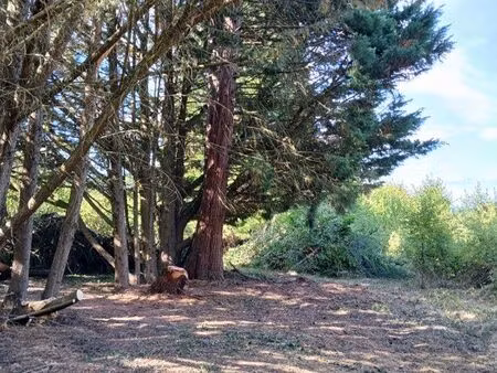 terrain arboré constructible de 3090 m2 à charbuy