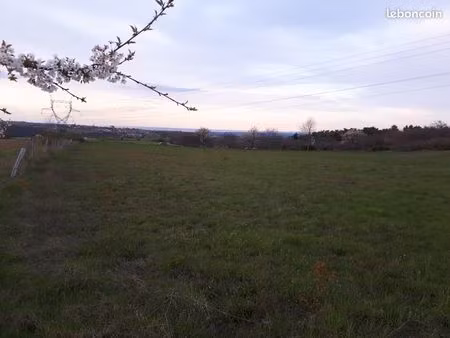 terrain constructible