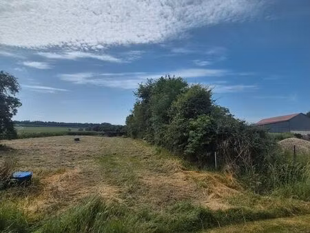 terrain constructible