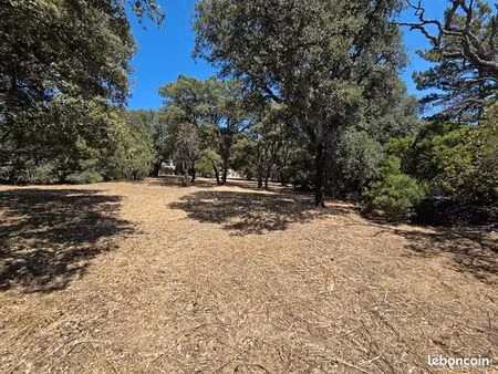 terrain 1193 m² sarrola carcopino