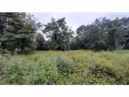 terrain 1 666 m² janvry