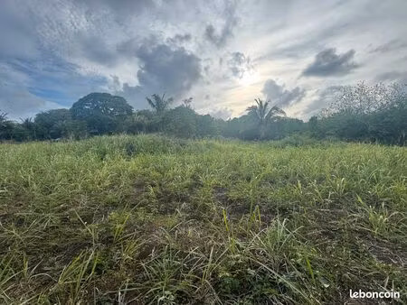 vente terrain anse-bertrand