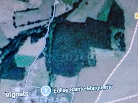 terrain boisé