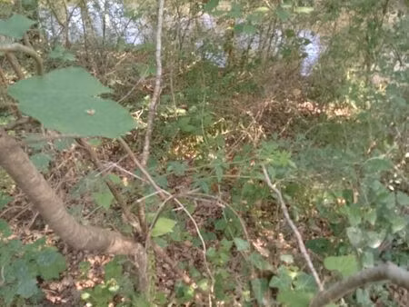 jardin terrain loisir bord de rivière