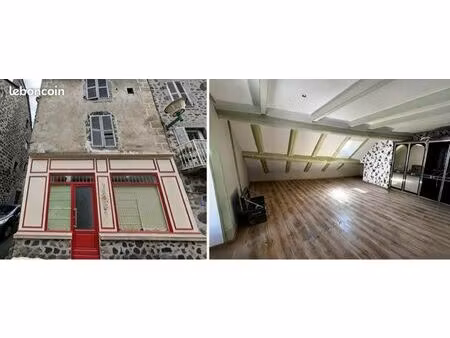maison de caractère avec local commercial et appartements indépendants