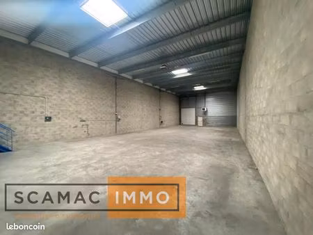 local d'activité 717 m²
