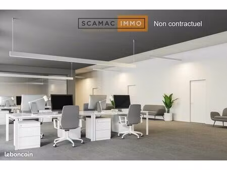 local d'activité 367 m²