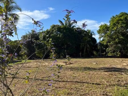 à vendre 800 m2 de terrain en zone 2au sur remire-montjoly