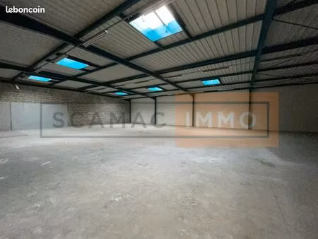 local d'activité 1 239 m²