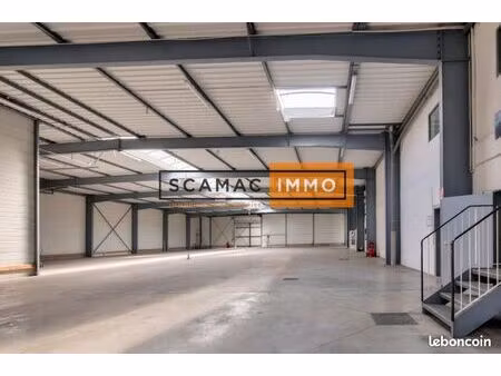 local d'activité 3 437 m²