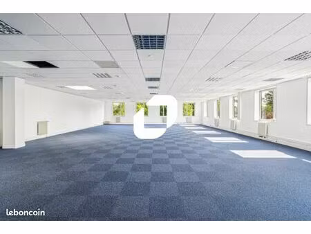 local d'activité 550 m²