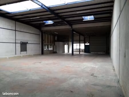 local d'activité 993 m²