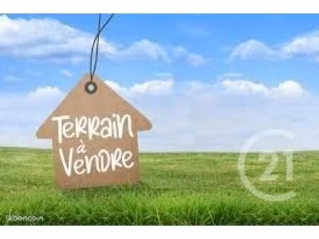 terrain 486 m² boissy saint leger
