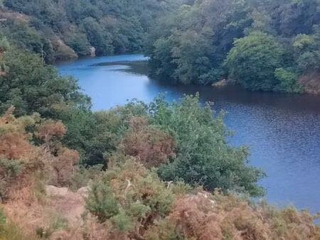 havre de paix en forêt — 8 000 m² boisés & fruitiers au bord de la rance  zone natura 2000