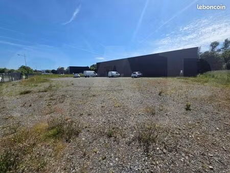 local 525 m²
