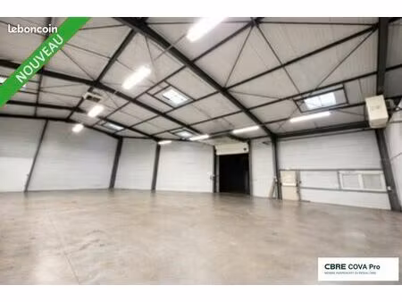 local d'activité 988 m²
