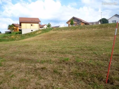 terrain constructible