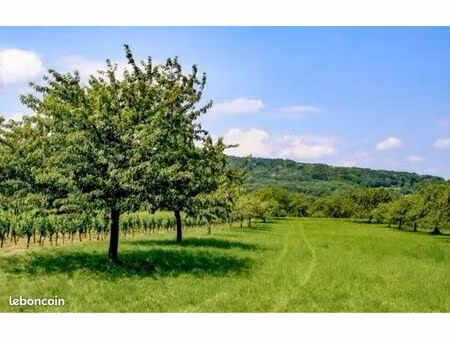 recherche terrain de loisir