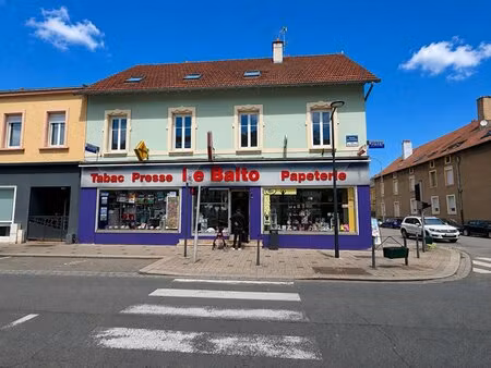 en vente immeuble de rapport 250 m² – 430 000 € |yutz