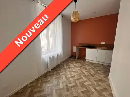 t1 bis entierement renove proche de la fac
