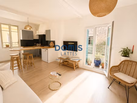coeur de village  t3 bis rénové lumineux
