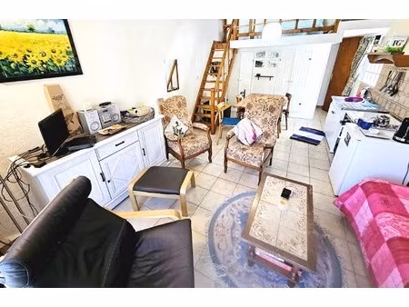 maison de village avec jardin et cabane