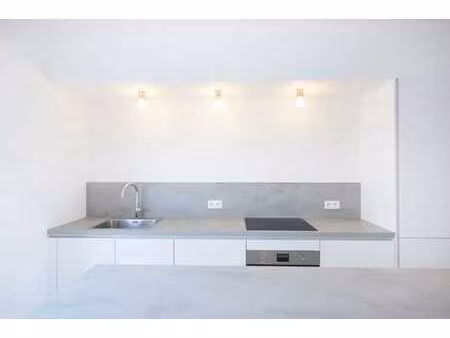 magnifique appartement full rénové  parking inclus