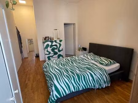 chambre avec sdb privée en colocation (reprise de bail)
