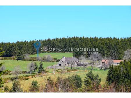 propriete 14pièce(s) 6chambre(s) 276 m² le lac-d'issarlès (07470)