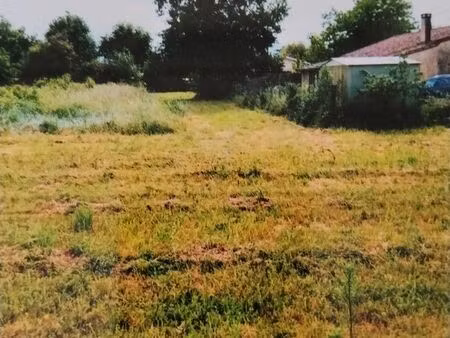 terrain constructible
