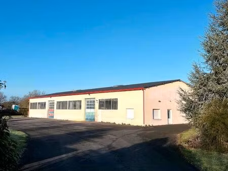 local d'activité 600m2 aux portes de tours