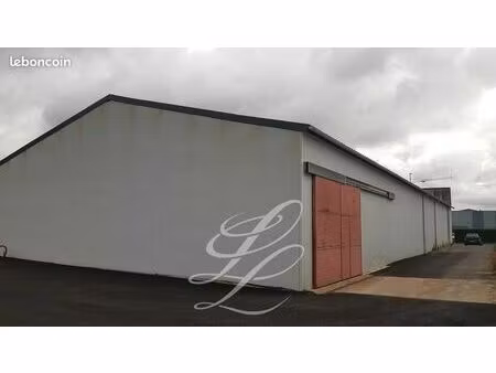 local d'activite 300 m² tours