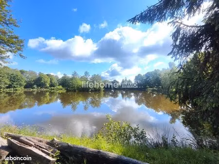 terrain 17563 m² la buxerette