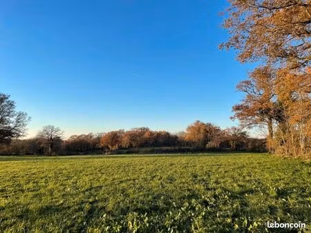 terrain 1 950 m² la chatre