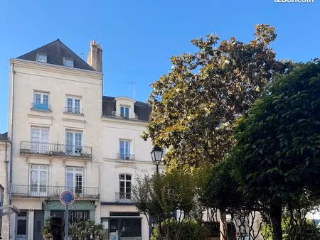 particulier vend appartement quartier des halles