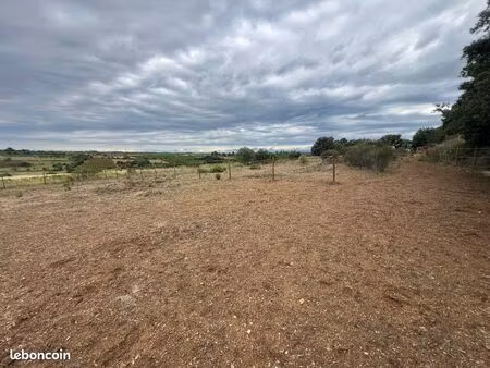 location terrain équipé équestre