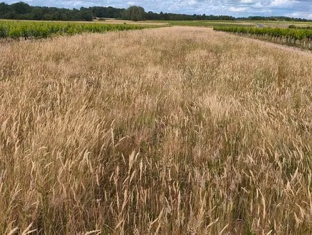 terrain agricole 10000m2