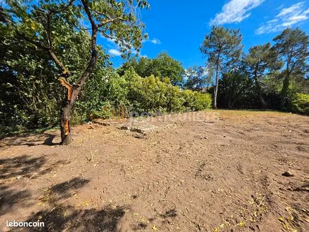 terrain 707 m² monts