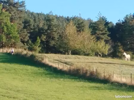 terrain agricole ou boisé