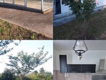 maison agréable à louer - orleans est - jardin 700m2